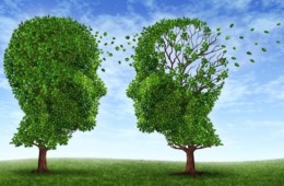 Your Family History And Genealogy Informs Your Marital Sex Life