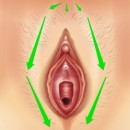 Vestibular Bulbs: How To Find And Stroke Them For Maximum Pleasure