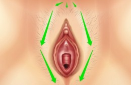 Vestibular Bulbs: How To Find And Stroke Them For Maximum Pleasure