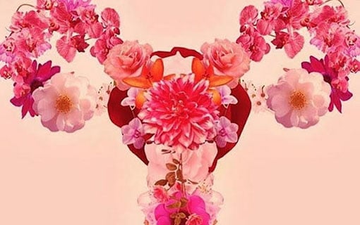 https://personallifemedia.com/wp-content/uploads/2018/05/female-flower.jpg