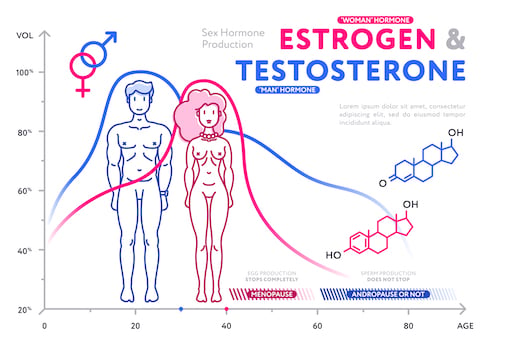 Estrogen and Testosterone