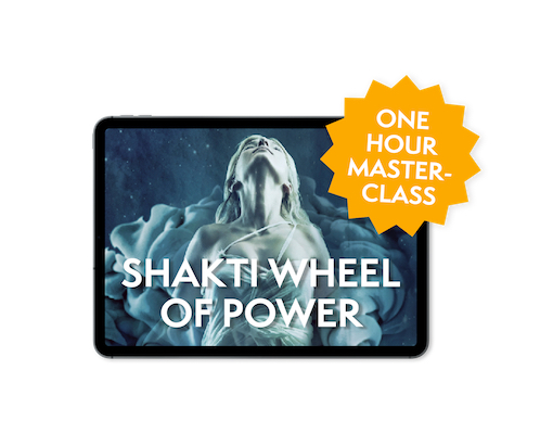 Shakti Wheel of Power