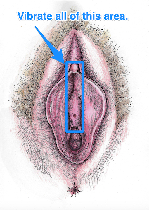 Vaginal Opening Map