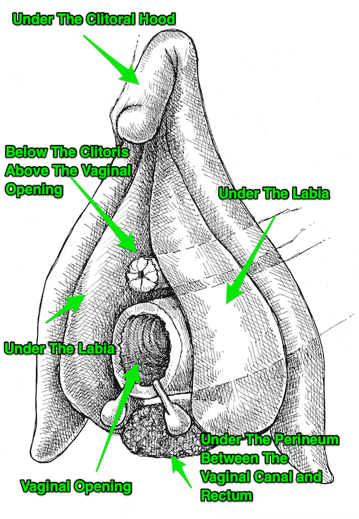 Clitoral Map 4