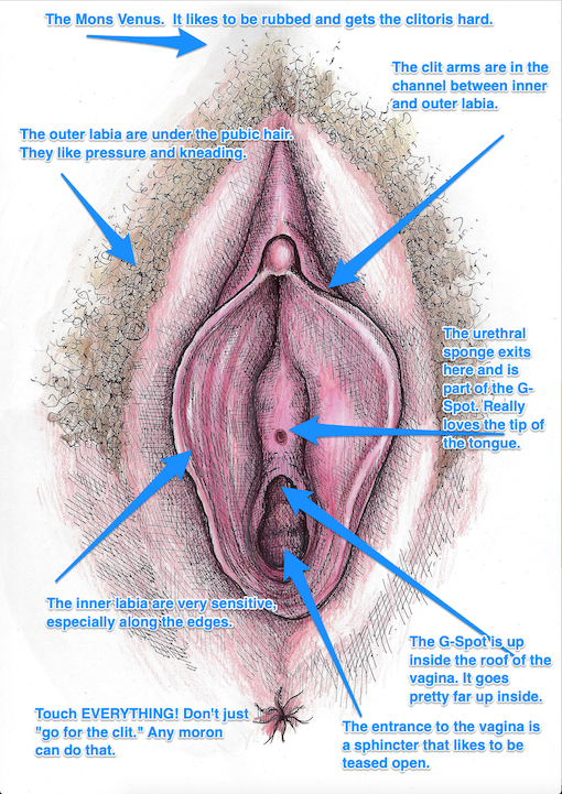 Clitoral Map 5