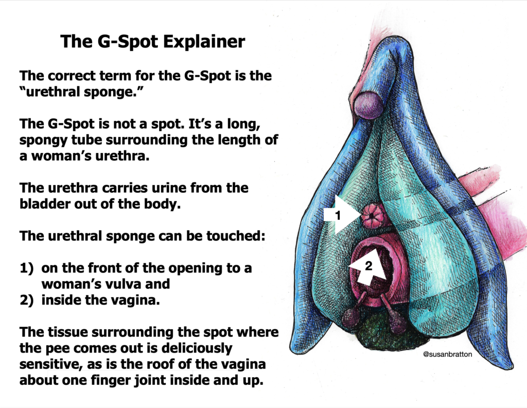 G Spot Explainer