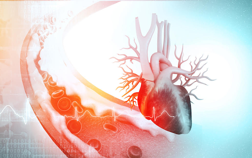 8 Heart Health Metrics You Need To Track NOW