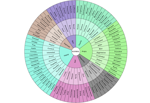 Plutchik Wheel of Emotions 510
