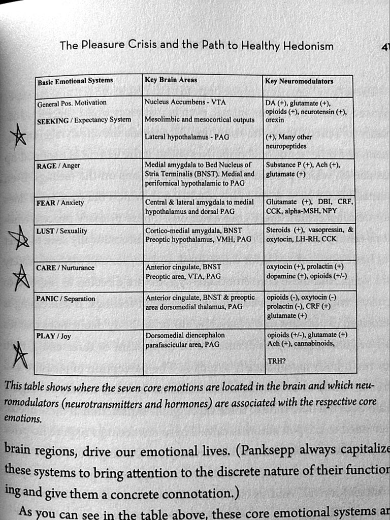 Why Good Sex Matters Excerpt